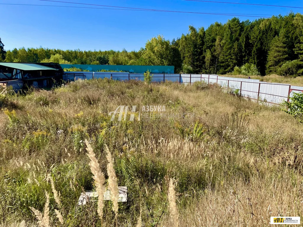 Продажа участка, Пушкино, Воскресенский район, улица Тургенева - Фото 1