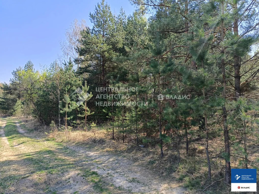 Продажа участка, Спасский район, садоводческое товарищество Луч-1 - Фото 0