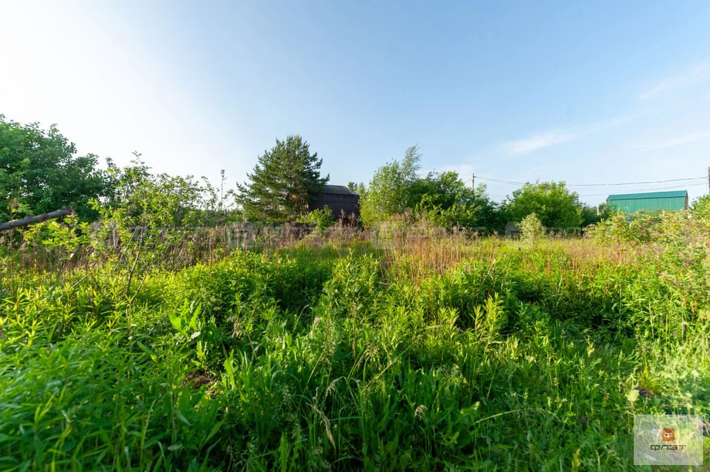 Продажа участка, Никольское, Лаишевский район, СНТ Березка при ... - Фото 3