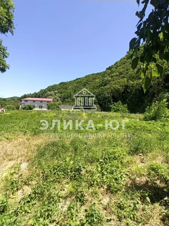 Продажа участка, Пляхо, Туапсинский район, Курортная ул. - Фото 2