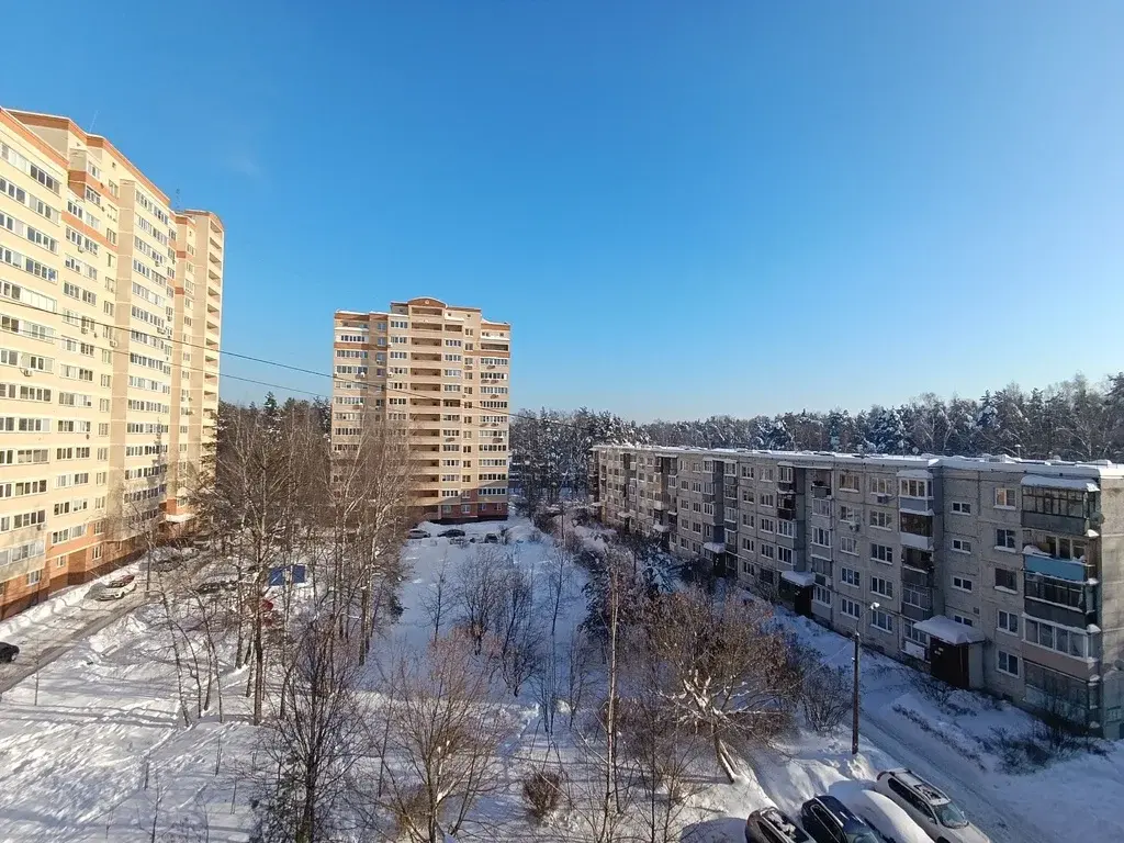 Ногинск, однокомнатная у леса - Фото 4