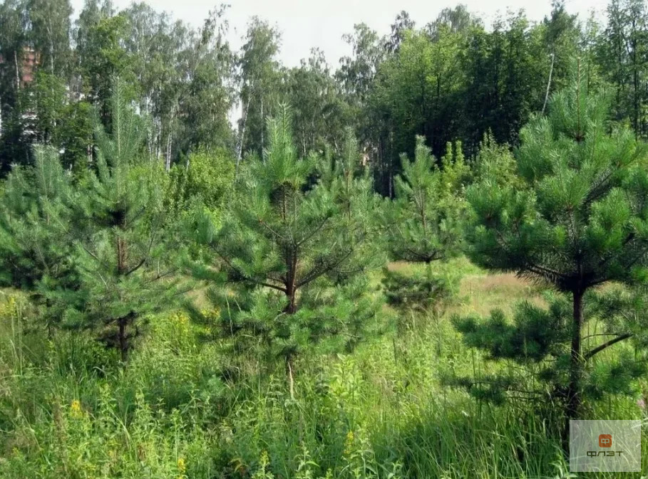 Продажа участка, Казань, ул. Амет-Хана Султана - Фото 0