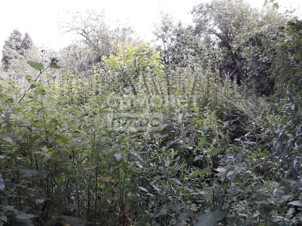 Продажа дома, Бегичево, Богородицкий район, 13 - Фото 8