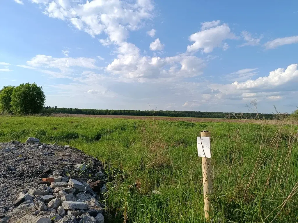 Участок в деревне Станинская - Фото 6