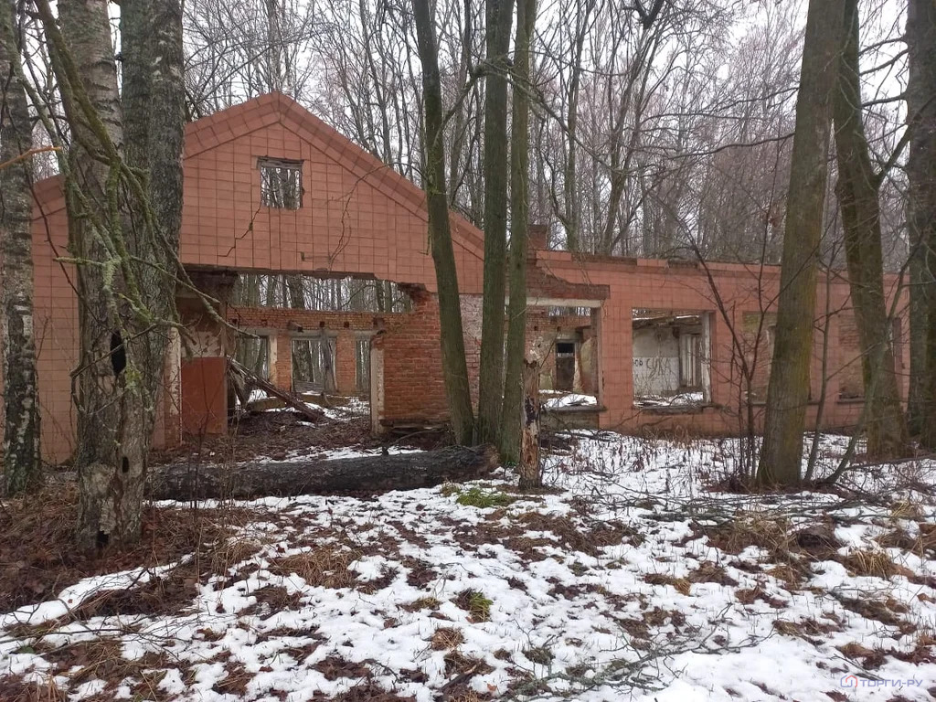 Продажа земельного участка, Мачулы-1, Починковский район - Фото 2