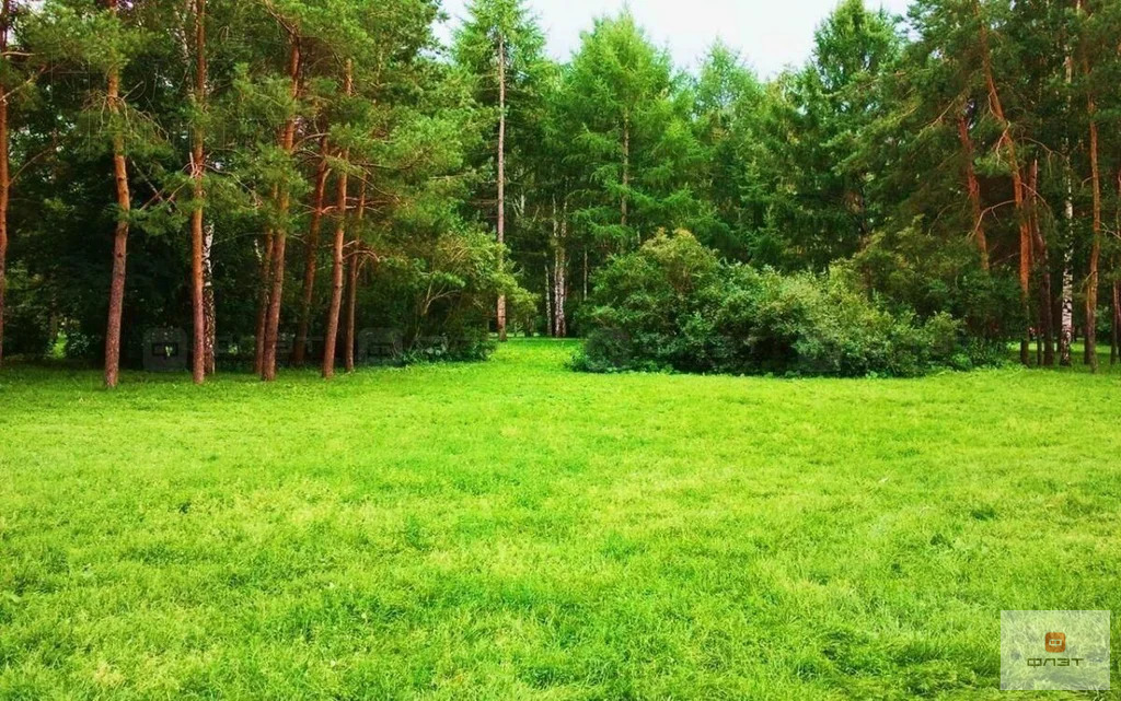 Продажа участка, Люткино, Пестречинский район, ул. Спасская - Фото 1