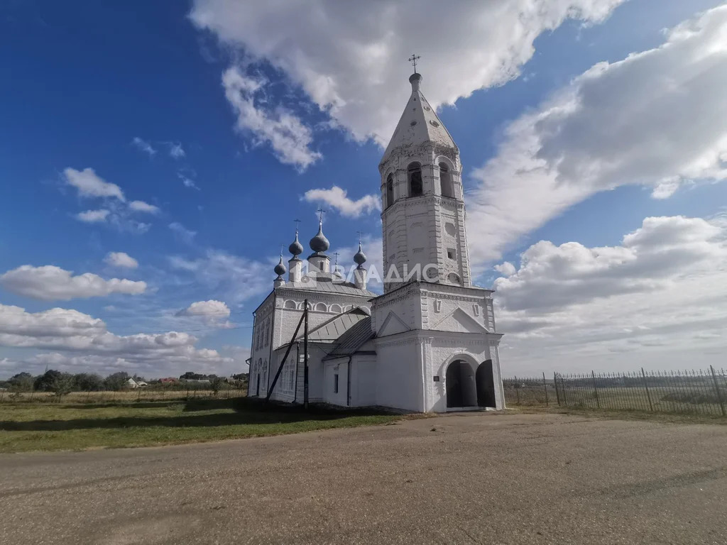 Суздальский район, село Менчаково, Центральная улица,  дом на продажу - Фото 41