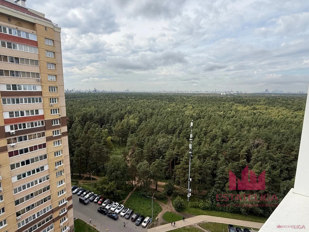 Продажа квартиры, Котельники, Сосновая улица - Фото 18