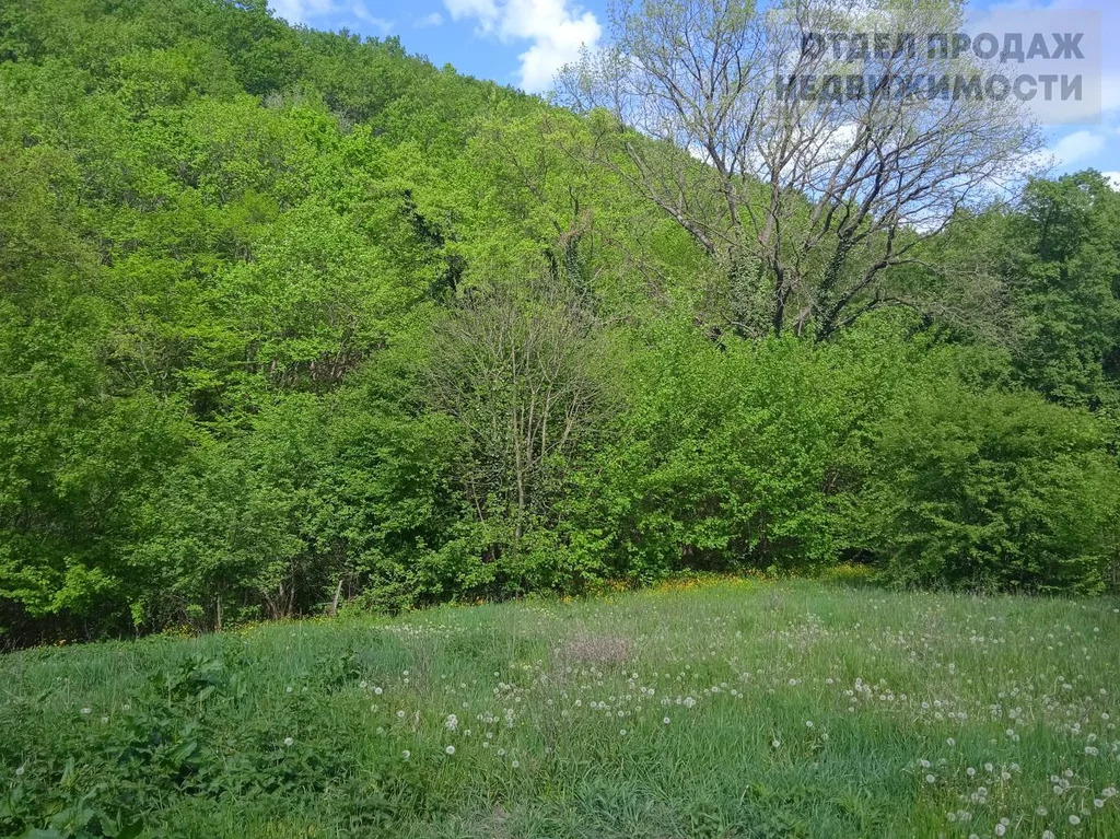 Дом в живописном районе - Фото 20