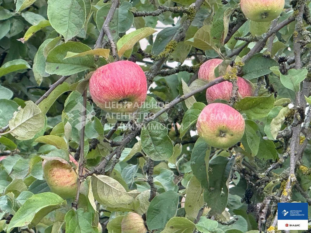 Продажа дома, Троица, Спасский район, ул. Совхозная - Фото 16