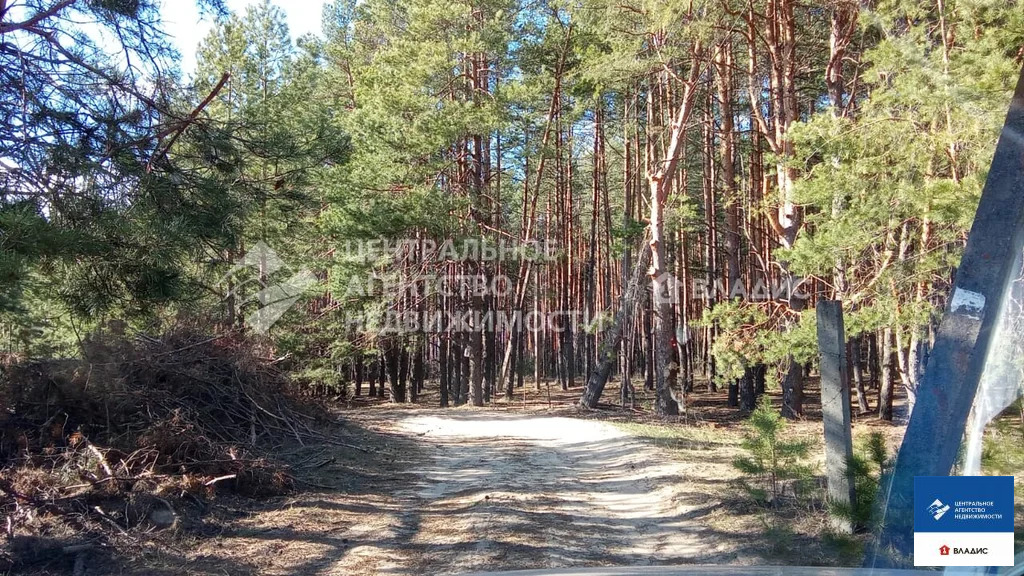Продажа участка, Рязанский район, садоводческое товарищество Дружба - Фото 1