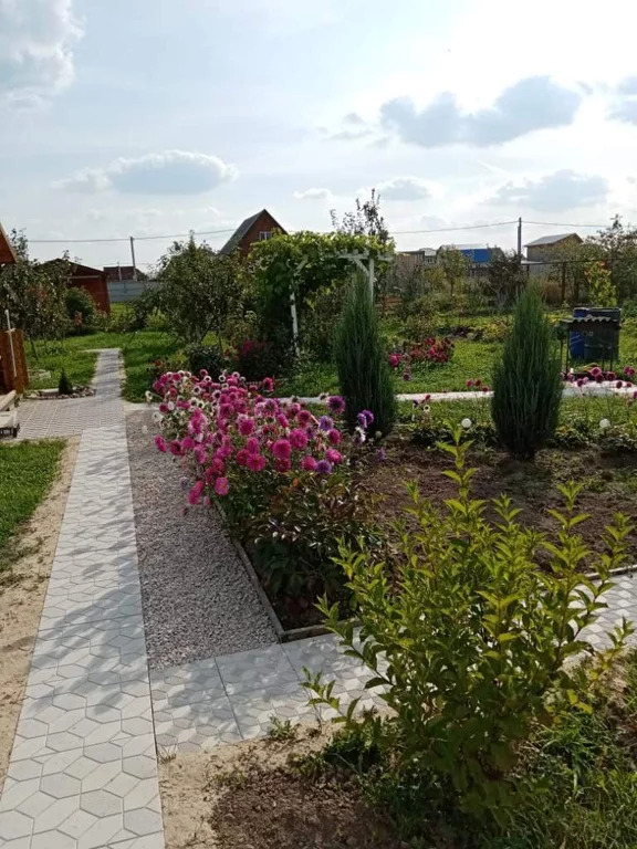Эмблемы садовых центров. Ромашкино парк садовый. Ромашкино садовый центр. Ромашкино питомник растений. Ромашкино питомник.