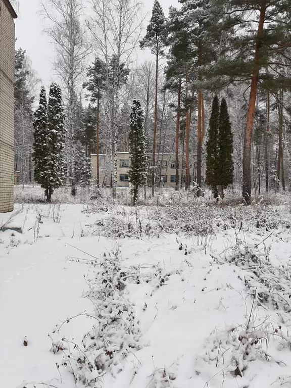 Продажа ПСН, Колодезское, Задонский район, ул. Солнечная - Фото 43