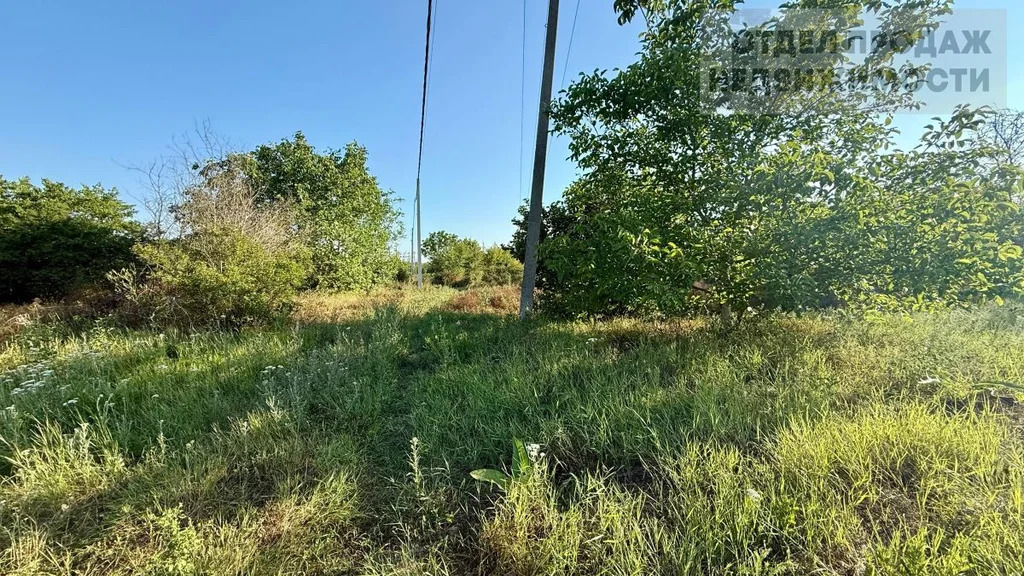 Участок - Фото 6