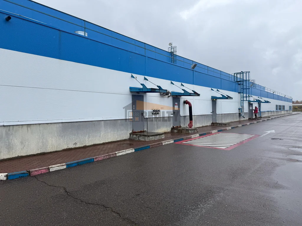 Аренда склада, Белые Столбы, Домодедово г. о., владение Склады 104 ... - Фото 3