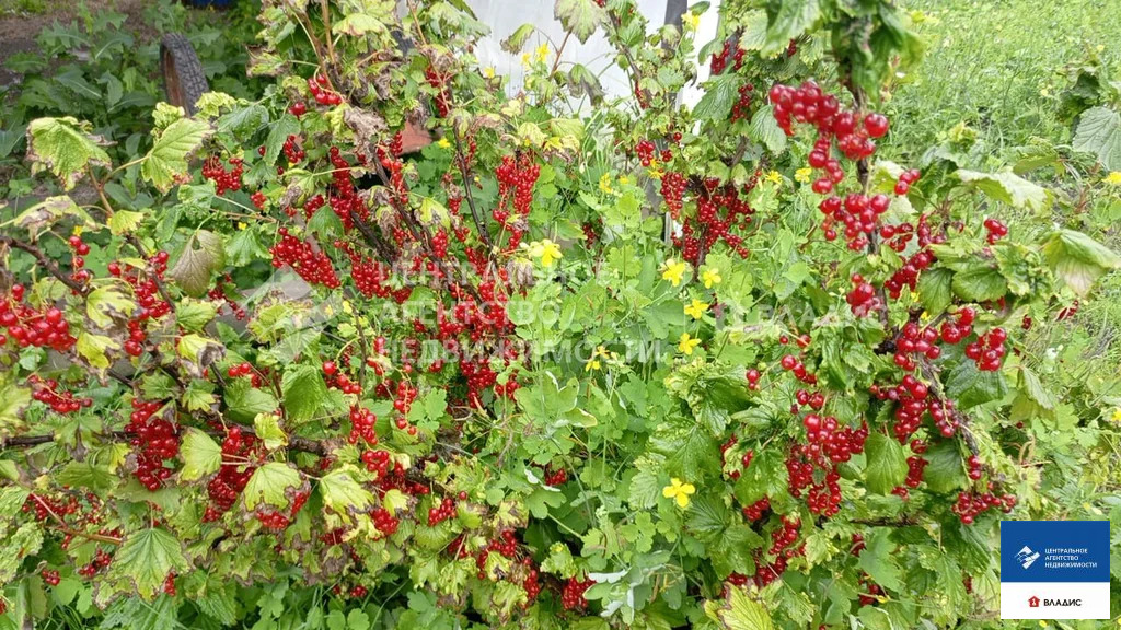 Продажа дома, Федоровка, Михайловский район, ул. Новый поселок - Фото 12
