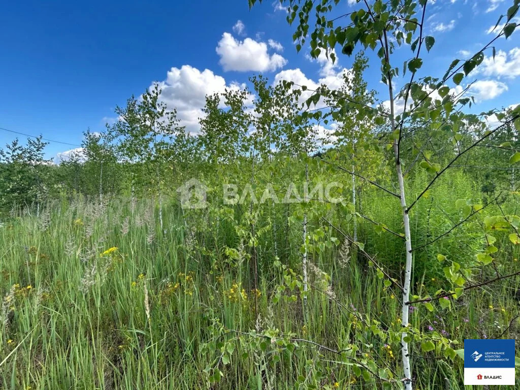 Продажа участка, Семкино, Рязанский район, коттеджный посёлок Сёмкина ... - Фото 9