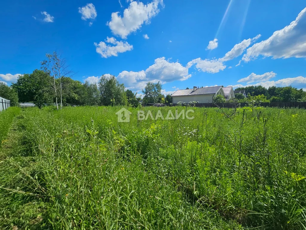 городской округ Пушкинский, село Ельдигино, микрорайон Новое ... - Фото 2