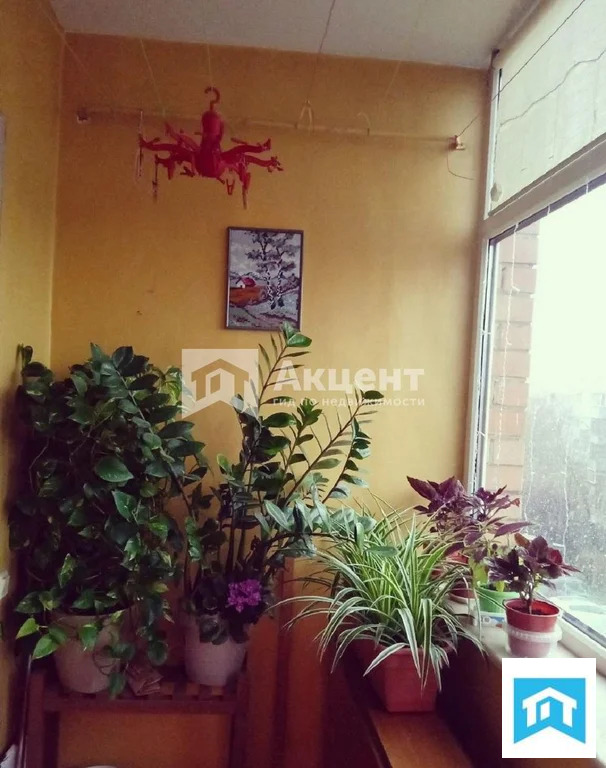 Продажа квартиры, Иваново, ул. Лакина - Фото 17