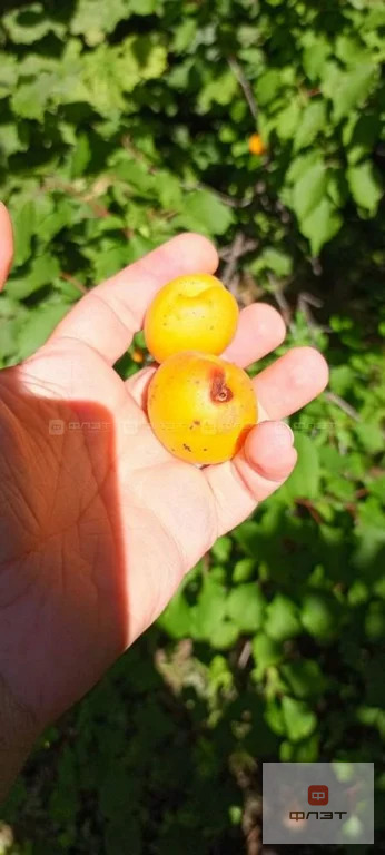 Продажа дома, Казань, тер. СНТ КГУ НПП им В.И.Ленина Лагерная - Фото 16