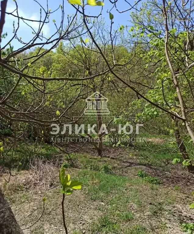 Продажа участка, Пляхо, Туапсинский район, ул. Лесная - Фото 9