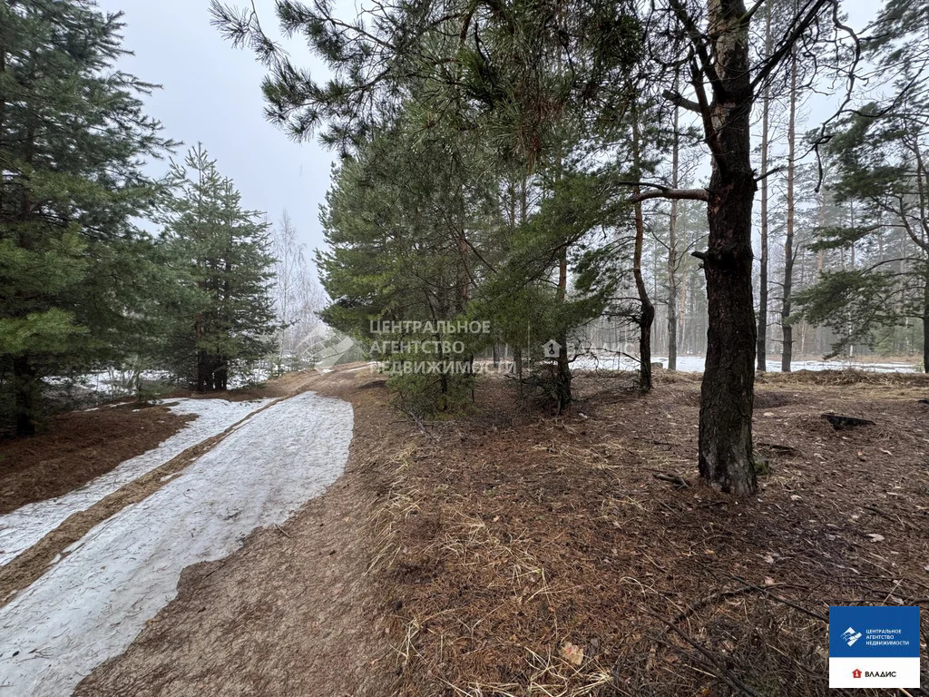 Продажа участка, Рязанский район, садоводческое товарищество ... - Фото 6