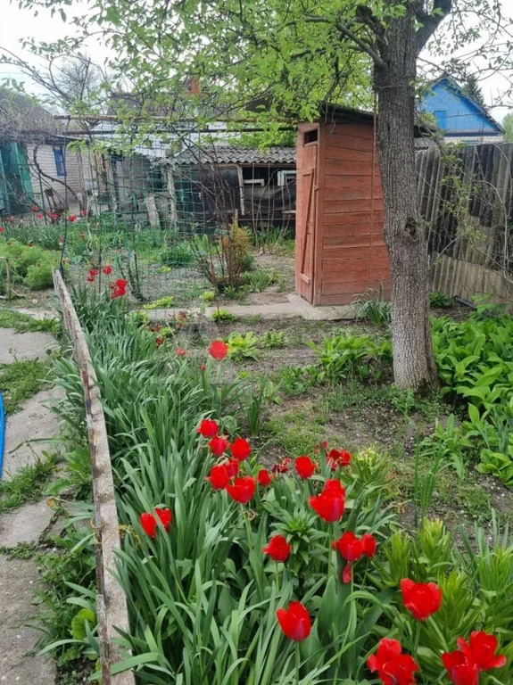 Продажа дома, Георгиевск, ул. Октябрьская - Фото 13