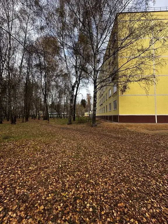 2-комнатная квартира - Фото 12