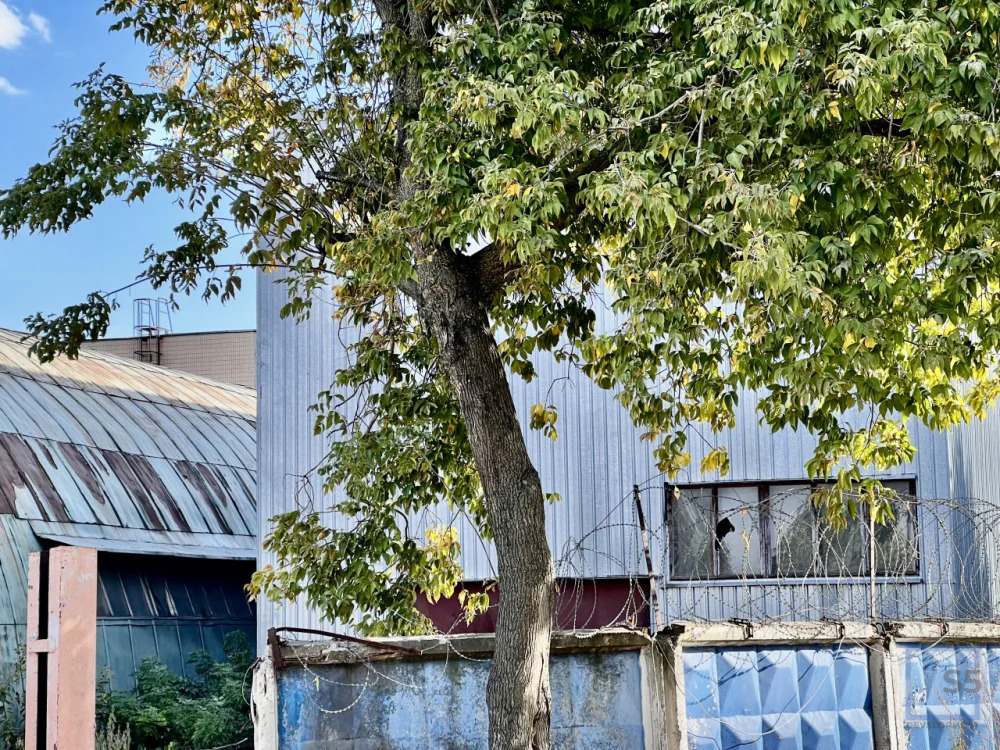 Продажа склада, м. Озёрная, ул. Рябиновая - Фото 19