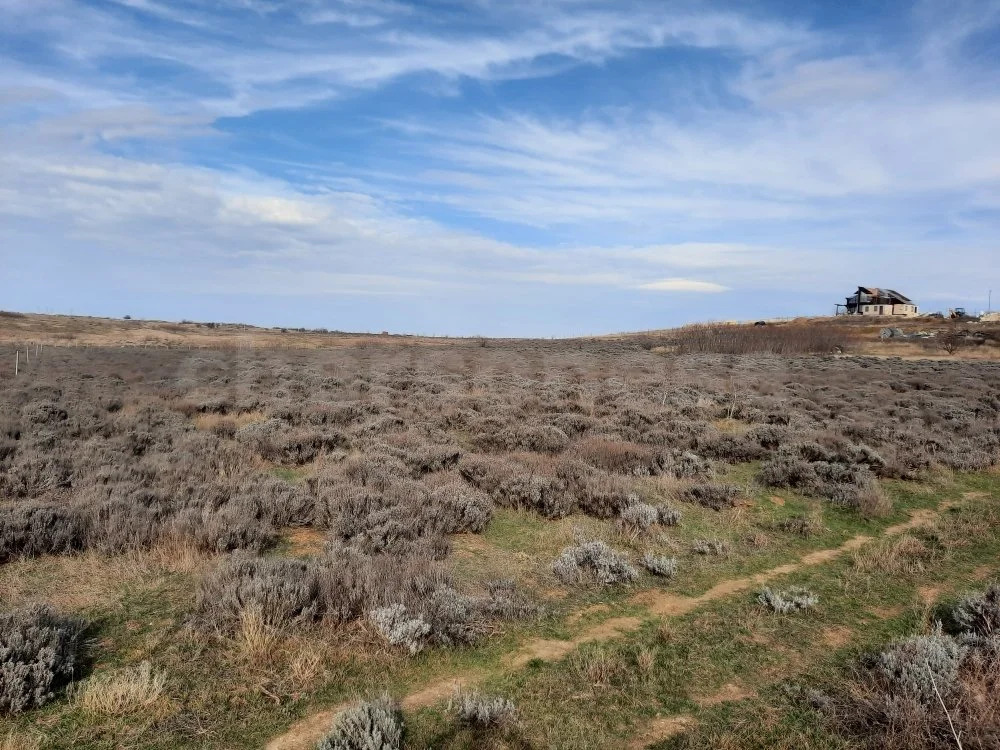 Продажа участка, Севастополь, ул. Весенняя - Фото 2