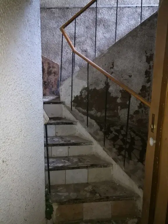 Помещение свободного назначения 147,3 м2 - Фото 1