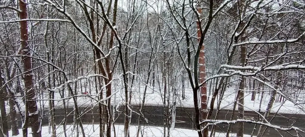 2-к.п.Барвиха, д.14 - Фото 12