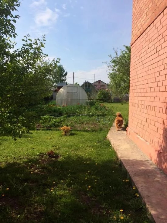 Погода луначарский самарская ставропольский. Берег 2 Луначарский Тольятти. Луначарский Самарская область Ставропольский район. СНТ берег 2 Луначарский. Посёлок Луначарский Ставропольский район Тольятти.