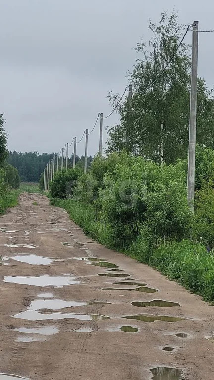 Продажа участка, Жердево, Киржачский район, ул. Зеленая - Фото 3