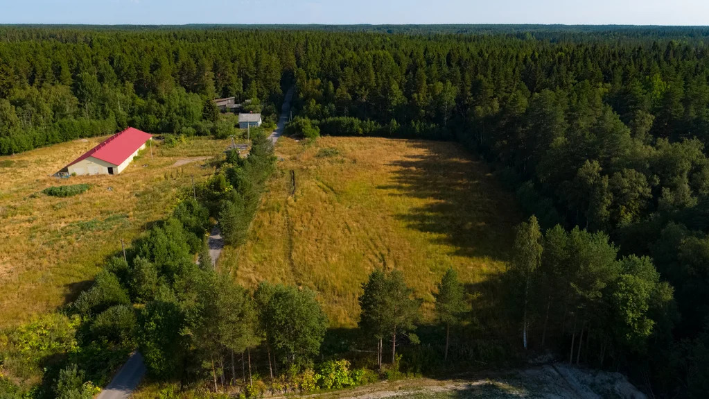 Продажа участка, Солнечное, Приозерский район - Фото 6