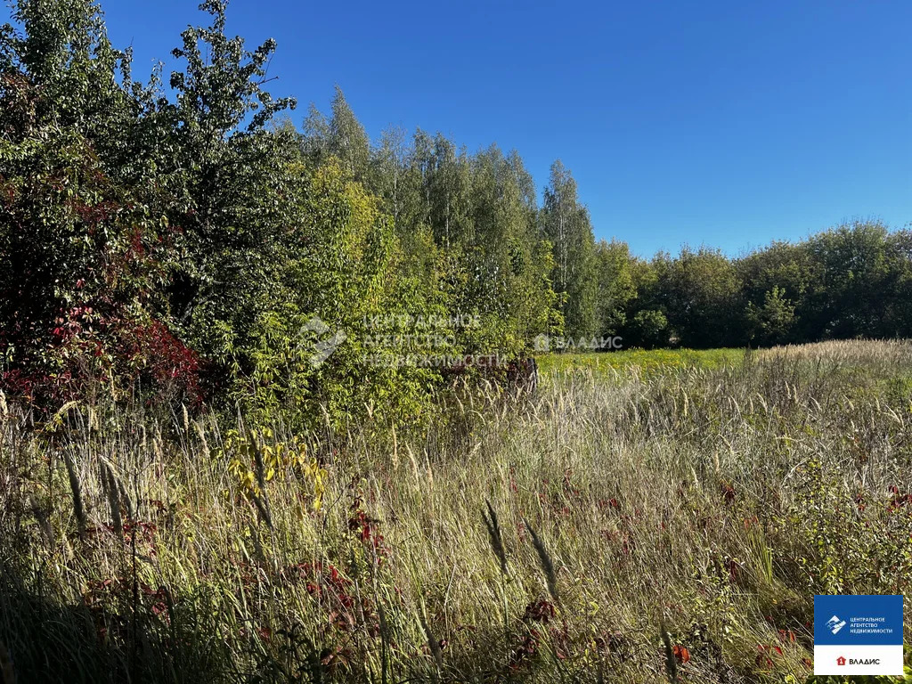 Продажа дома, Санское, Шиловский район, ул. Первомайская - Фото 13