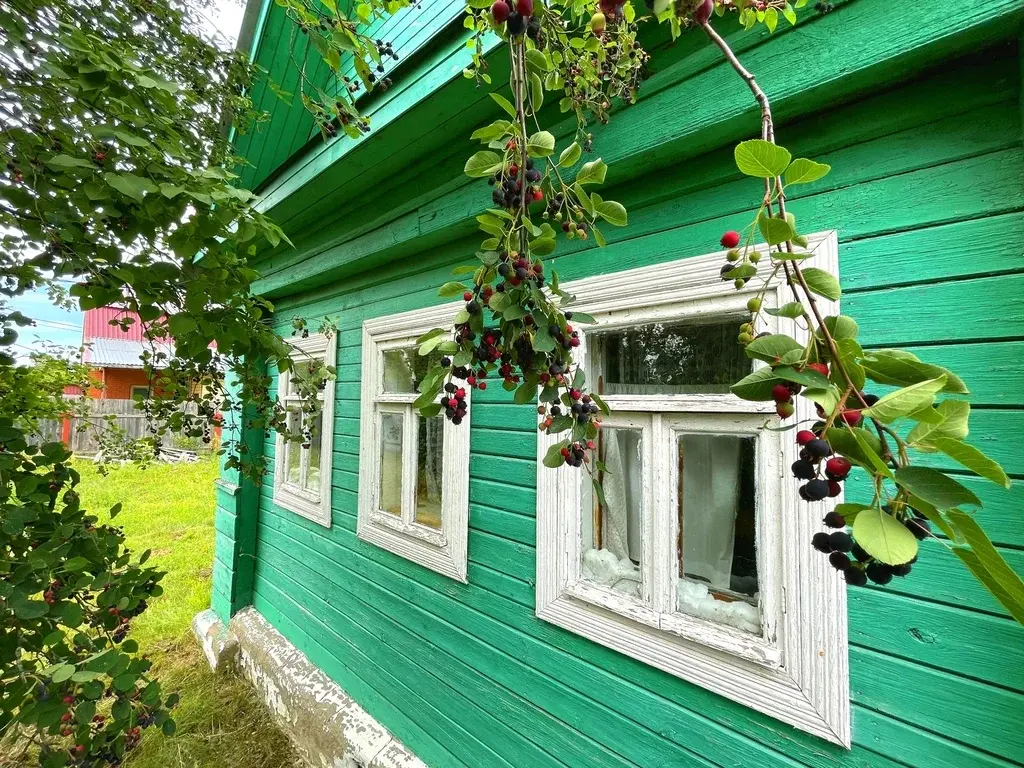 Дом в деревне Слободище - Фото 0