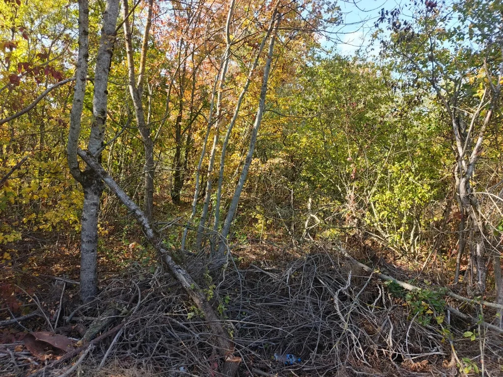 Продажа участка, Афипский, Северский район - Фото 3