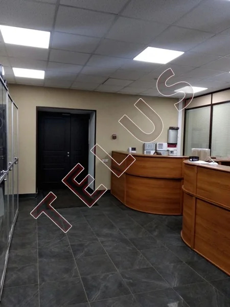 м. Баррикадная, Большая Грузинская, 903 м2, Здание (ном. объекта: 269) - Фото 11