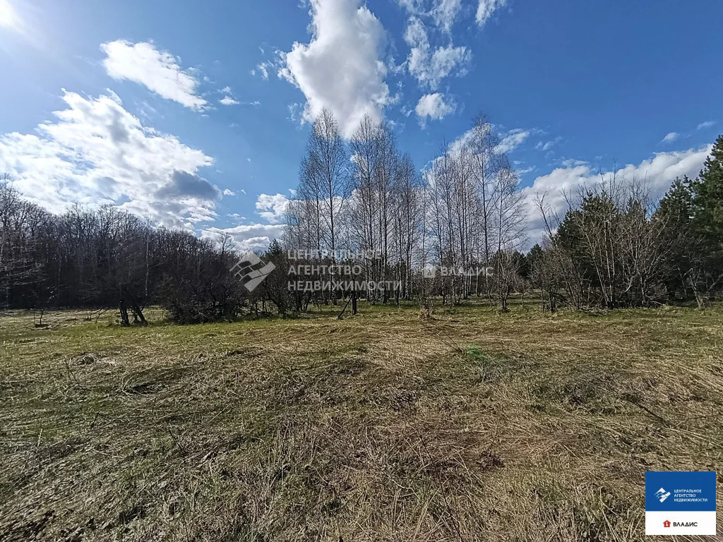 Продажа участка, Шиловский район, садоводческое товарищество Тырница - Фото 8