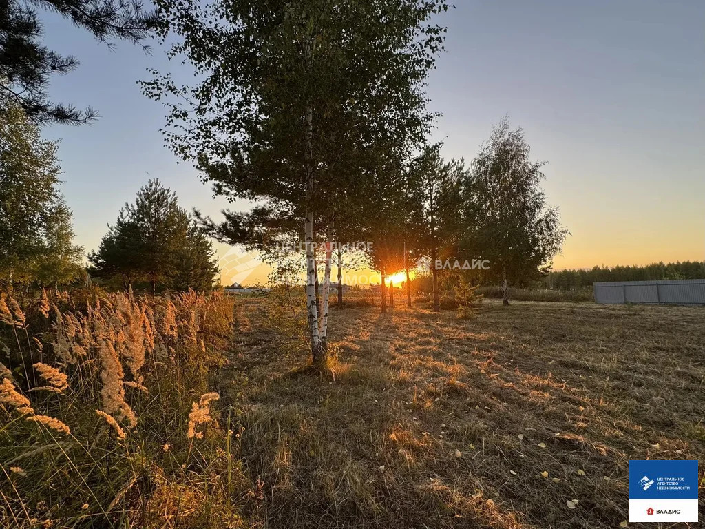 Продажа участка, Рязанский район - Фото 4