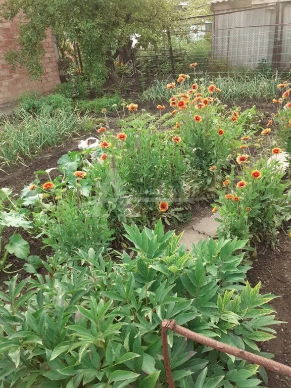 Продажа дома, Георгиевск, ул. Первомайская - Фото 5