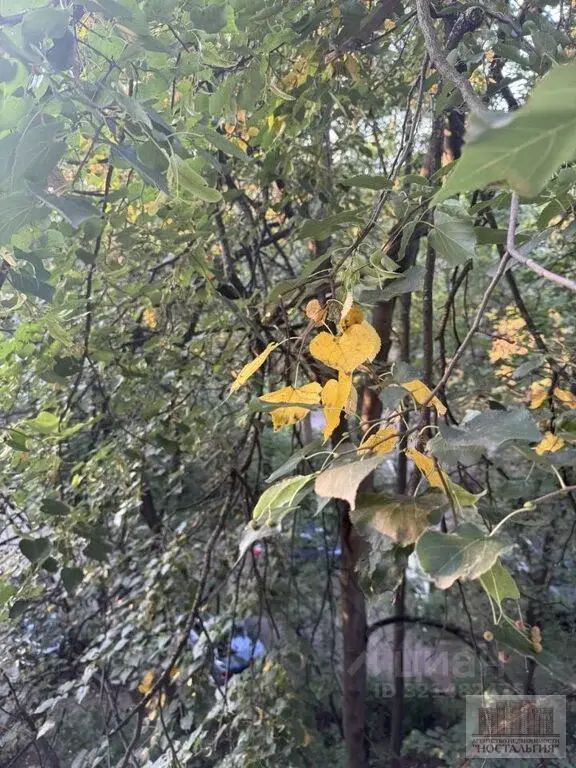 Снять двухкомнатную квартиру 45.0м - Фото 0