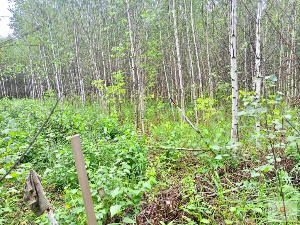 Продажа участка, Дачное, Высокогорский район, дом 13 - Фото 3