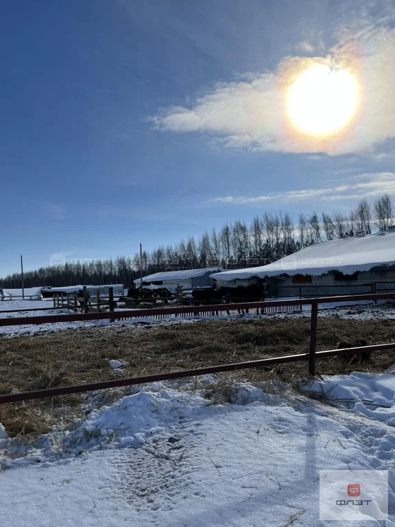 Продажа склада, Копки, Кукморский район, ул. Советская - Фото 6