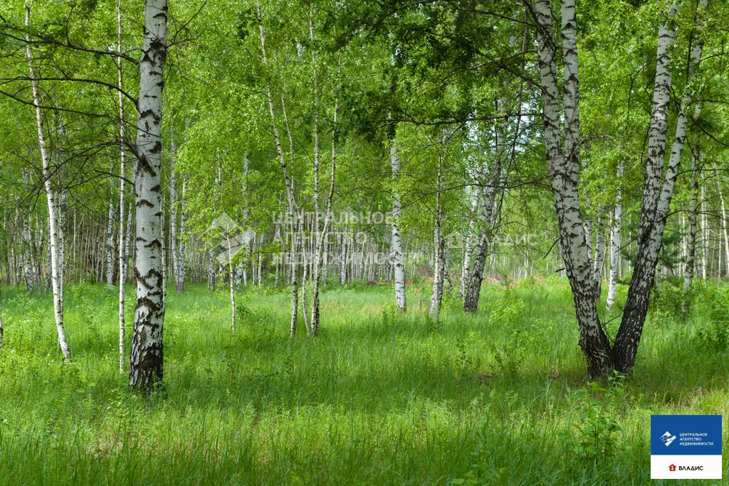 Продажа участка, Рязанский район - Фото 0