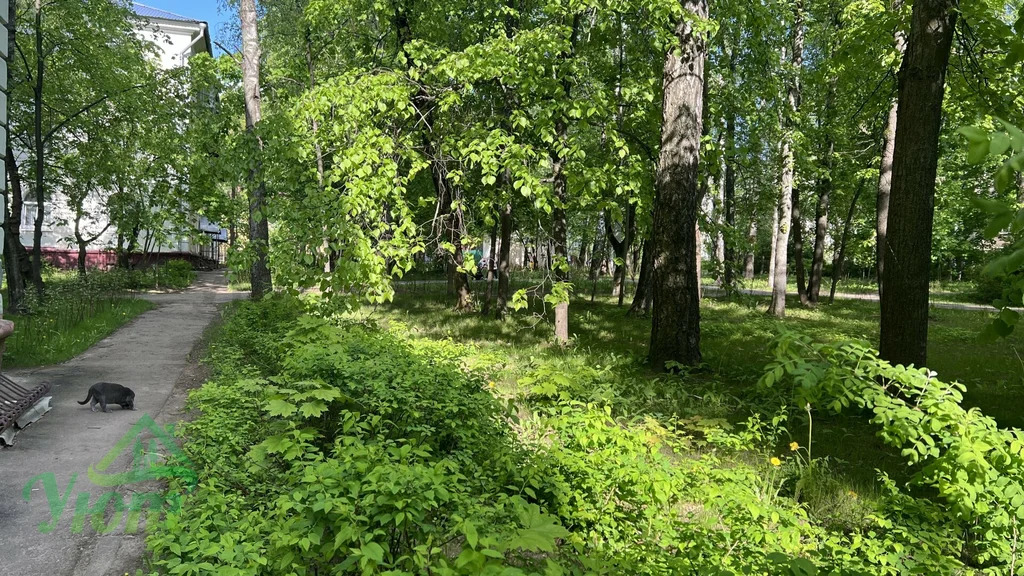 Продажа квартиры, Удельная, Раменский район, улица Зеленый городок - Фото 16