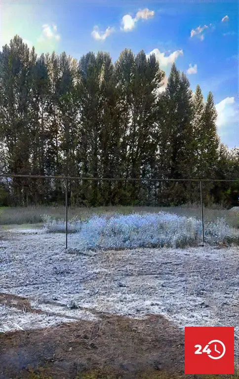 Продается земельный участок 12 сот рядом с лесом д. Пяша - Фото 7