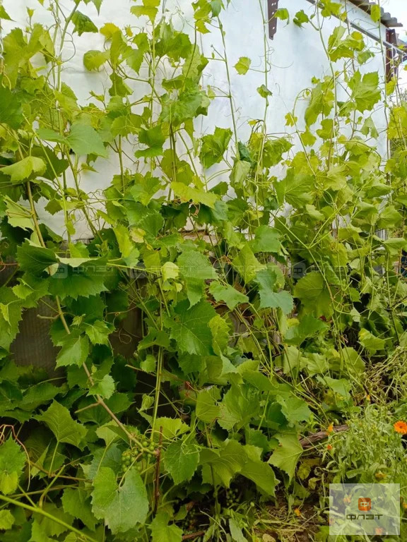 Продажа дома, СДТ Овощник-2, Высокогорский район, 7-я аллея - Фото 14