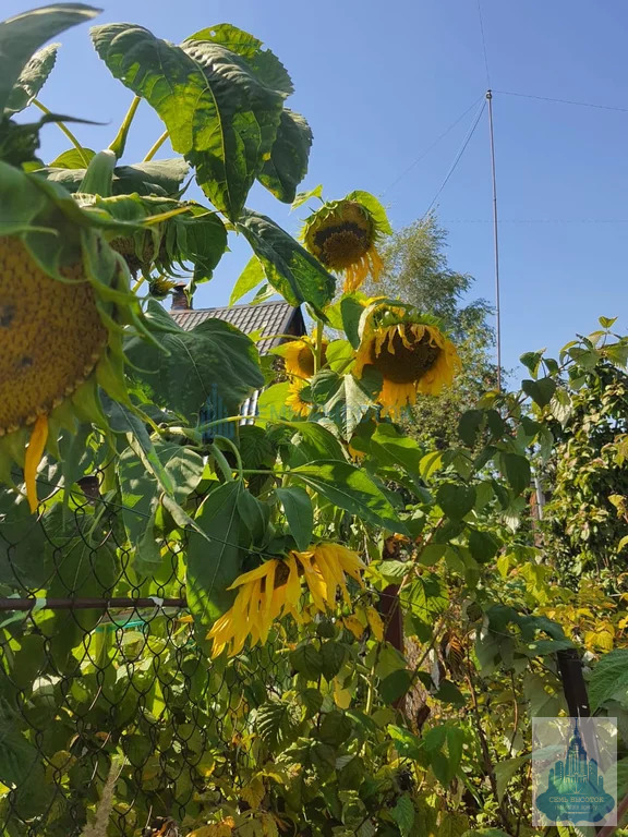 Продажа дома, Подольский район, 12 - Фото 39